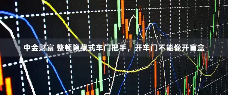 中金财富 整顿隐藏式车门把手，开车门不能像开盲盒