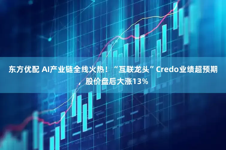 东方优配 AI产业链全线火热！“互联龙头”Credo业绩超预期，股价盘后大涨13%
