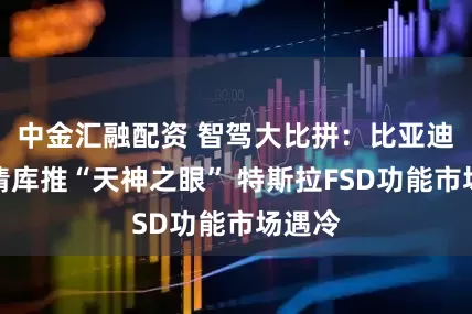 中金汇融配资 智驾大比拼：比亚迪终端清库推“天神之眼” 特斯拉FSD功能市场遇冷